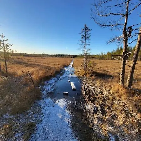 Viihtyisae Ja Tilava Moekki, Pytkykaksonen B Nyaraló *