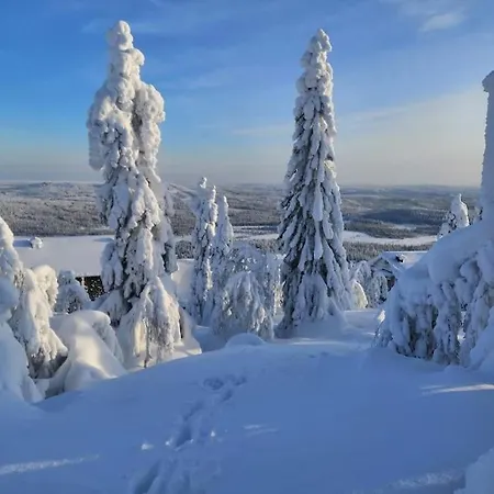 Nyaraló Viihtyisae Ja Tilava Moekki, Pytkykaksonen B Syöte