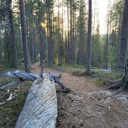 Viihtyisä Ja Tilava Mökki, Pytkykaksonen B Loma-asunnot Iso-Syöte