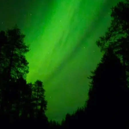 Viihtyisae Ja Tilava Moekki, Pytkykaksonen B Nyaraló *