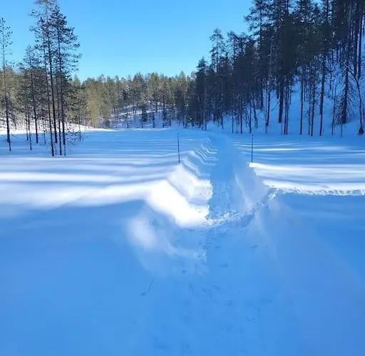 Viihtyisae Ja Tilava Moekki, Pytkykaksonen B *
