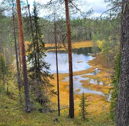 別荘 Viihtyisae Ja Tilava Moekki, Pytkykaksonen B *