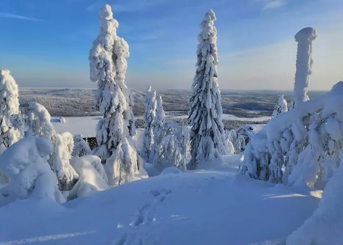Loma-asunnot Viihtyisä Ja Tilava Mökki, Pytkykaksonen B Iso-Syöte
