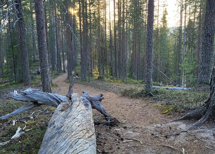 Viihtyisä Ja Tilava Mökki, Pytkykaksonen B Loma-asunnot Iso-Syöte